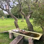 Hof Appelbue - Urlaub In Zwei Im Storchendorf Apartament Bergenhusen