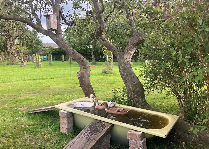 Hof Appelbue - Urlaub In Zwei Im Storchendorf Apartment Bergenhusen
